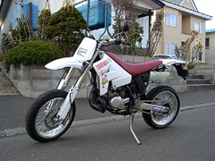 ǗlDT200WRʐ^i2006^11^19j