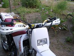 슄荞ݗpz