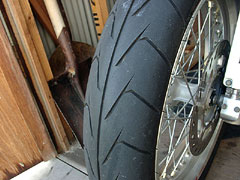 GPR70SPtg